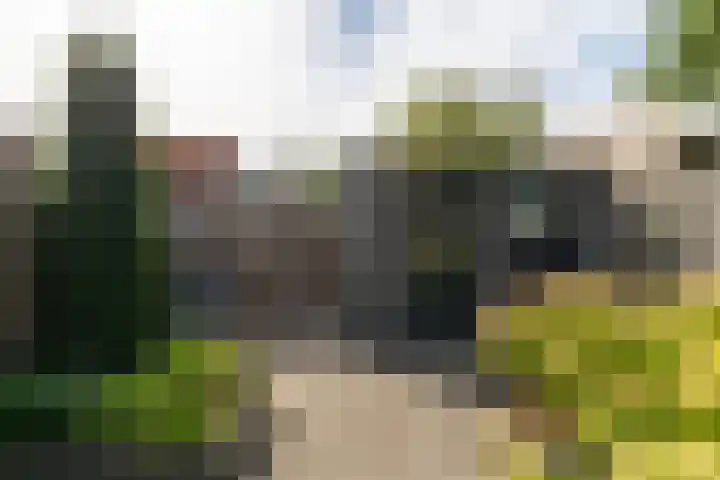 Vlet 41 Werkendam thumbnail 28