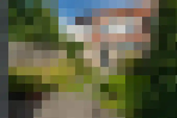 Vlet 41 Werkendam thumbnail 29