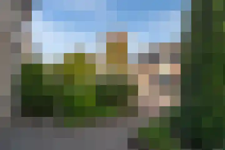 Vlet 41 Werkendam thumbnail 4