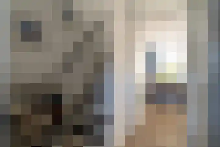 Vlet 41 Werkendam thumbnail 8