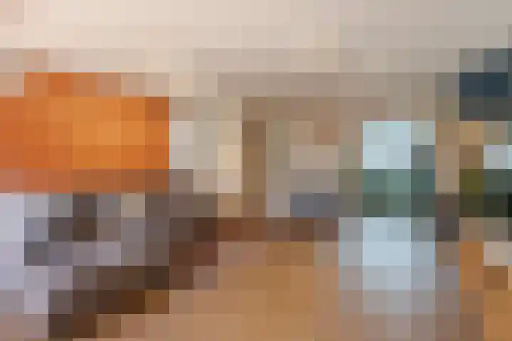 Vlet 43 Werkendam thumbnail 16