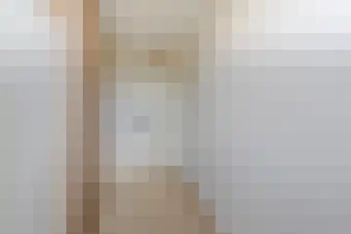 Vlet 43 Werkendam thumbnail 37