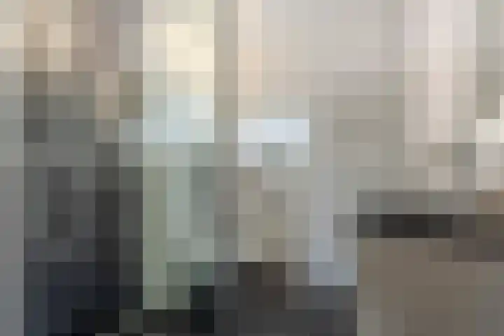 Vlet 43 Werkendam thumbnail 4