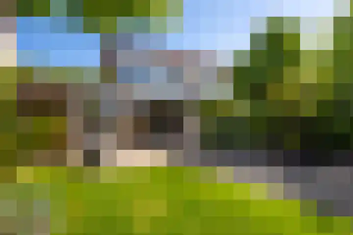 Vlet 43 Werkendam thumbnail 46