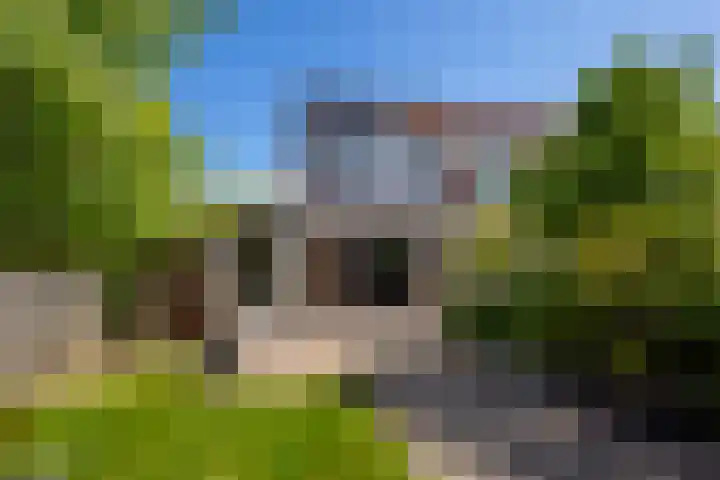 Vlet 43 Werkendam thumbnail 47