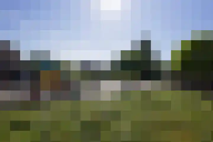 Vlet 43 Werkendam thumbnail 50
