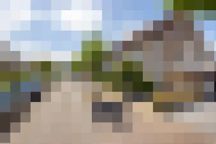 Vlet 43 Werkendam thumbnail 8
