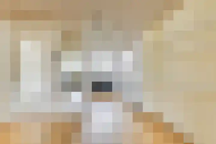 Vlet 6 Obdam thumbnail 10