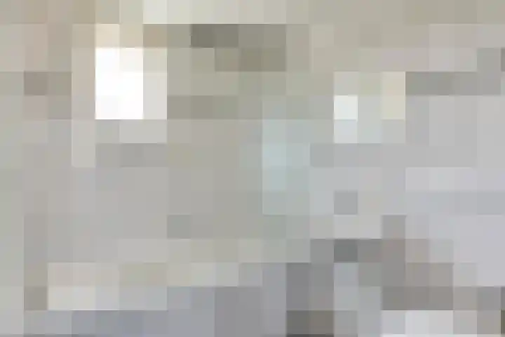 Vlet 6 Obdam thumbnail 22