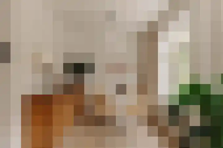 Vlet 6 Obdam thumbnail 36