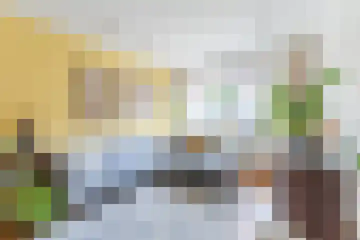 Vlet 6 Obdam thumbnail 51