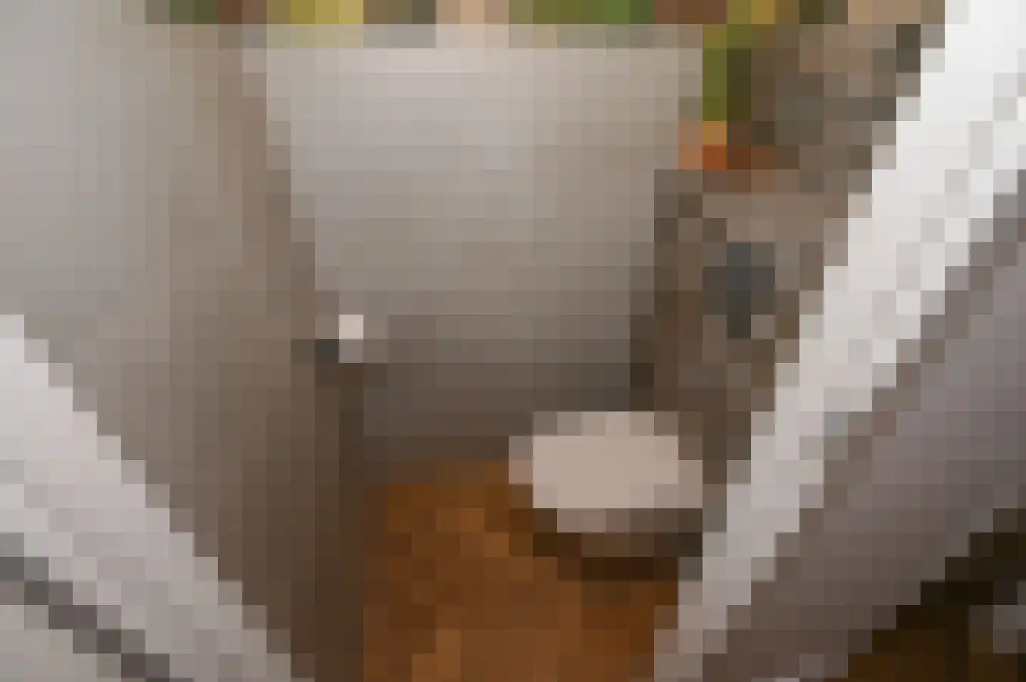 Vletkade 3 Zoetermeer thumbnail 11