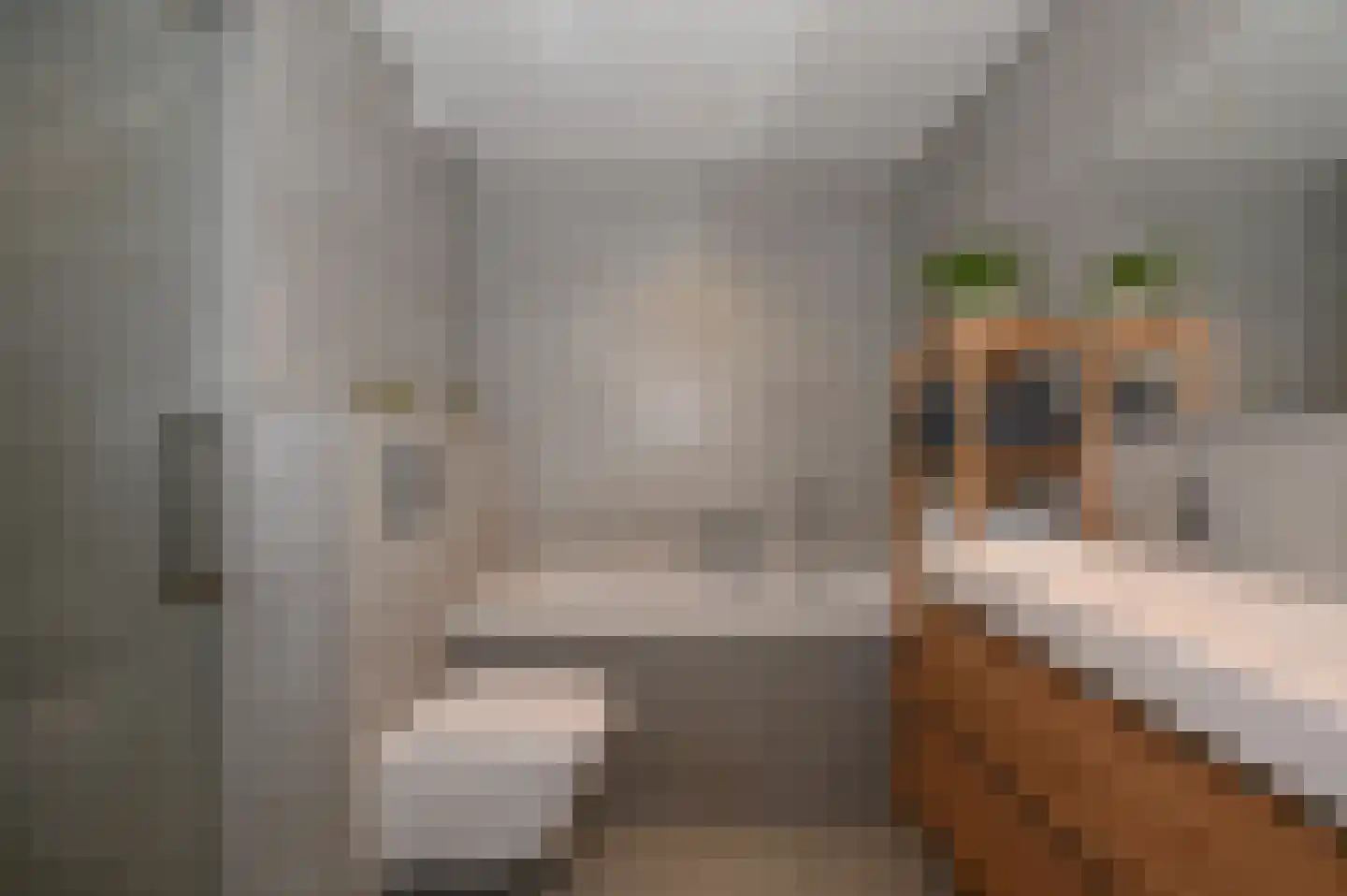 Vletkade 3 Zoetermeer thumbnail 18