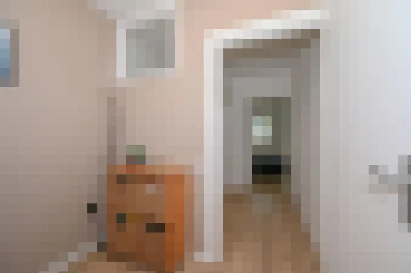 Vletkade 3 Zoetermeer thumbnail 37