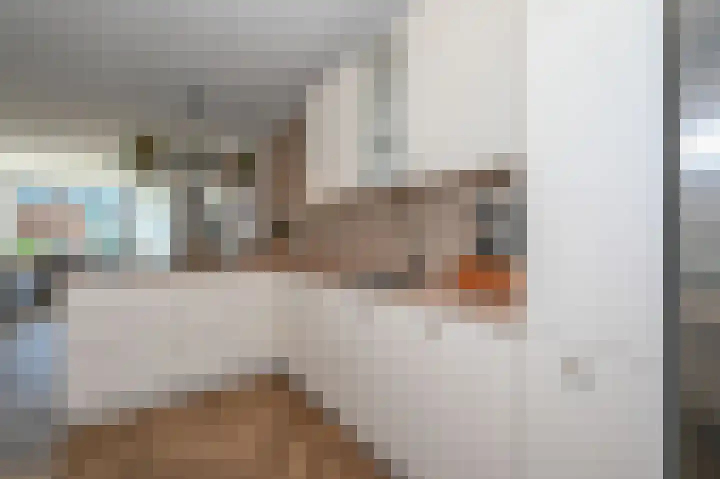 Vletkade 3 Zoetermeer thumbnail 8