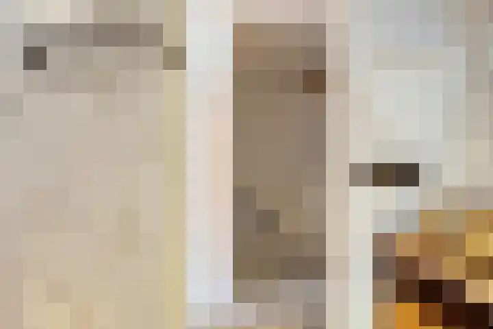 Vletkade 9 Zoetermeer thumbnail 18