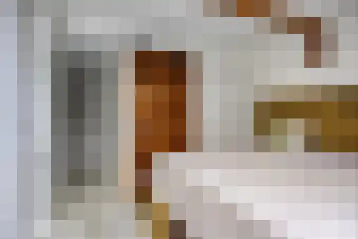 Vletkade 9 Zoetermeer thumbnail 22