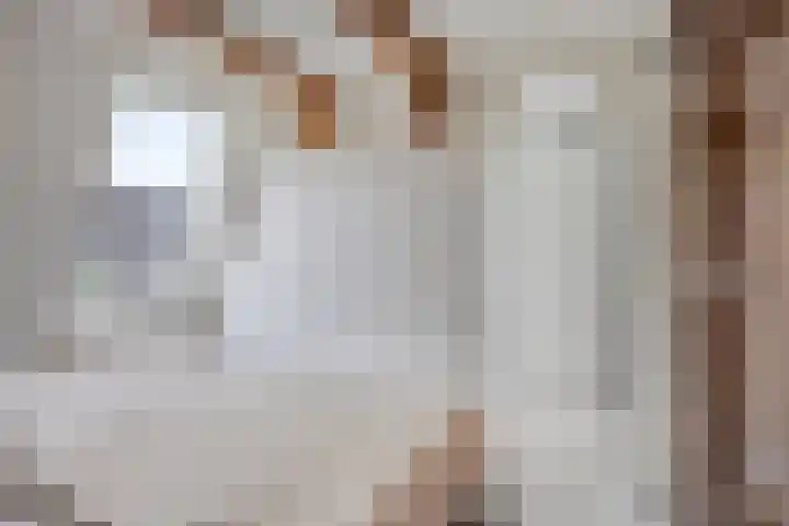Vletkade 9 Zoetermeer thumbnail 23