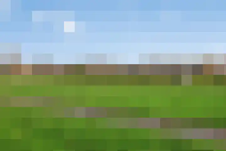 Vletkade 9 Zoetermeer thumbnail 32