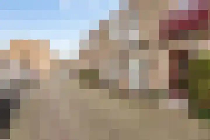 Vletkade 9 Zoetermeer thumbnail 33