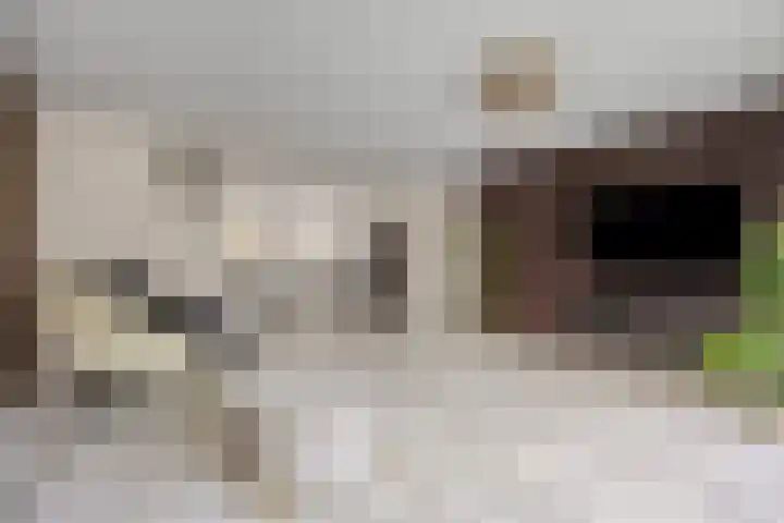 Vletkade 9 Zoetermeer thumbnail 5