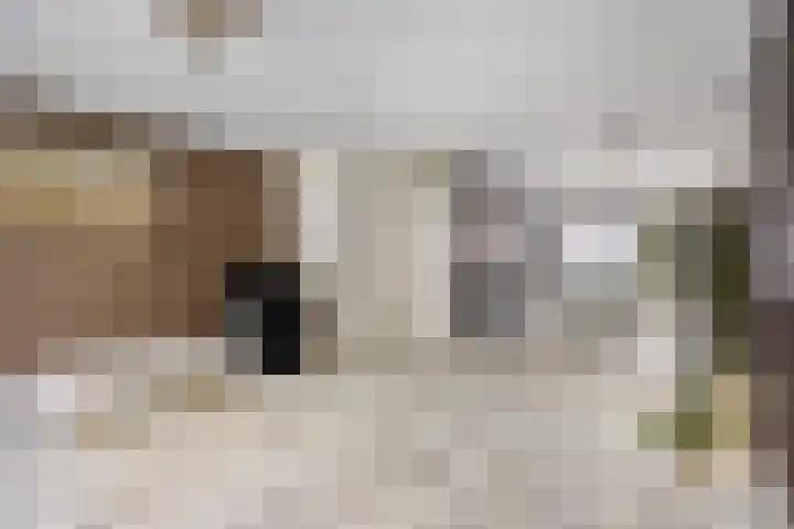 Vletkade 9 Zoetermeer thumbnail 7