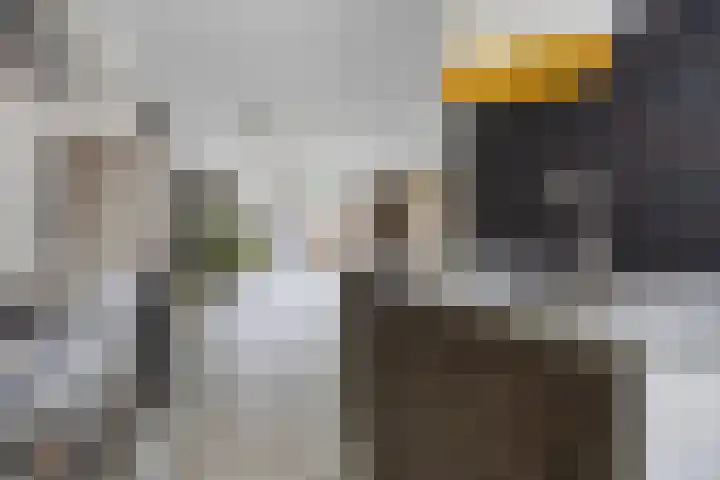 Vletkade 9 Zoetermeer thumbnail 8