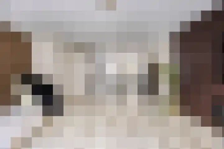 Vletkade 9 Zoetermeer thumbnail 9
