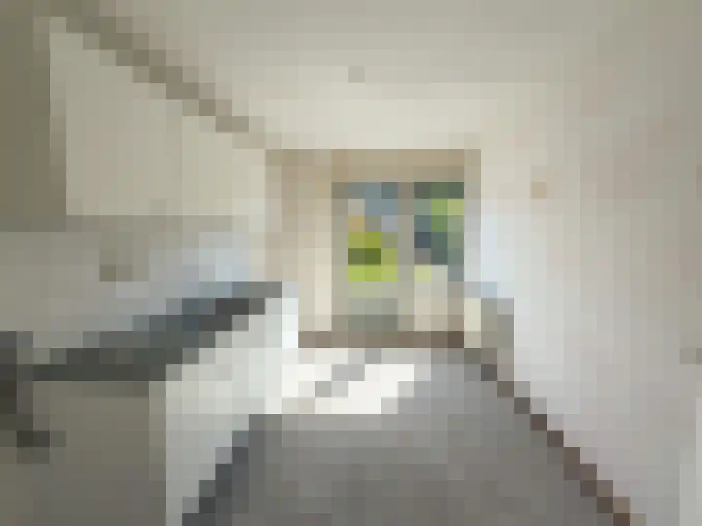 Vletland 29 Vleuten thumbnail 16