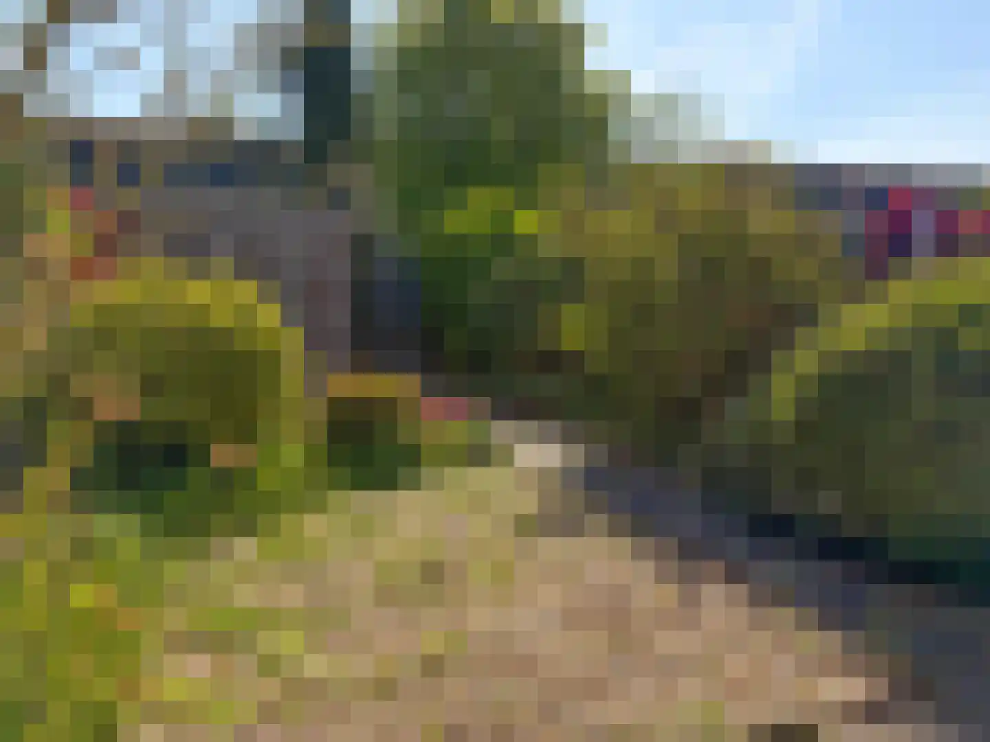 Vletland 29 Vleuten thumbnail 39