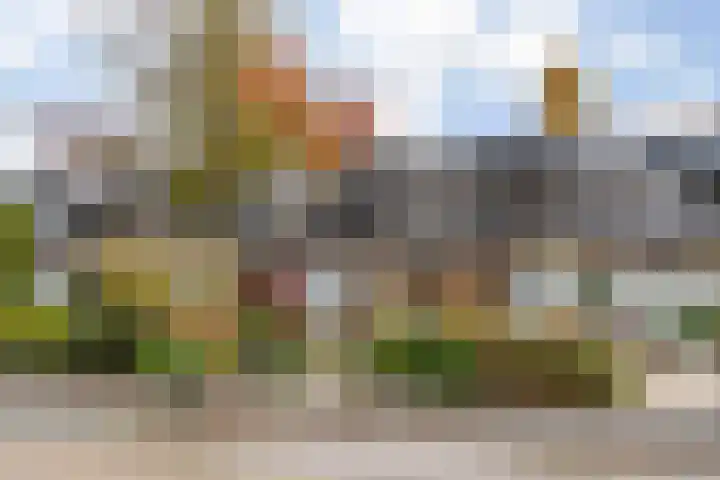 Vletland 9 Vleuten