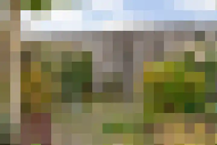 Vletland 9 Vleuten thumbnail 26