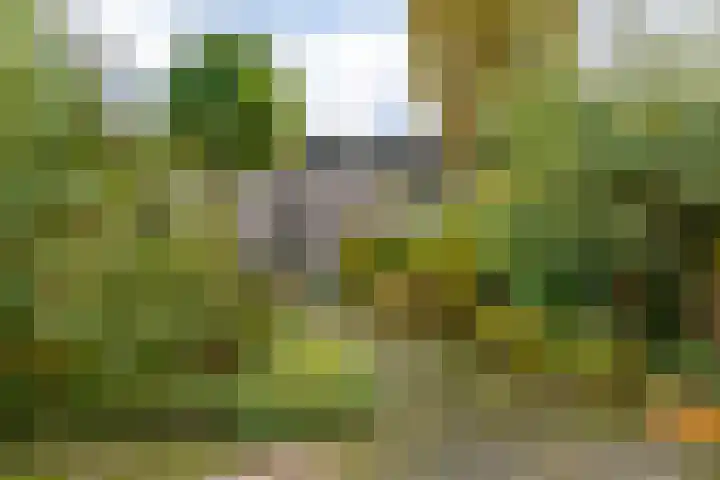 Vletland 9 Vleuten thumbnail 4