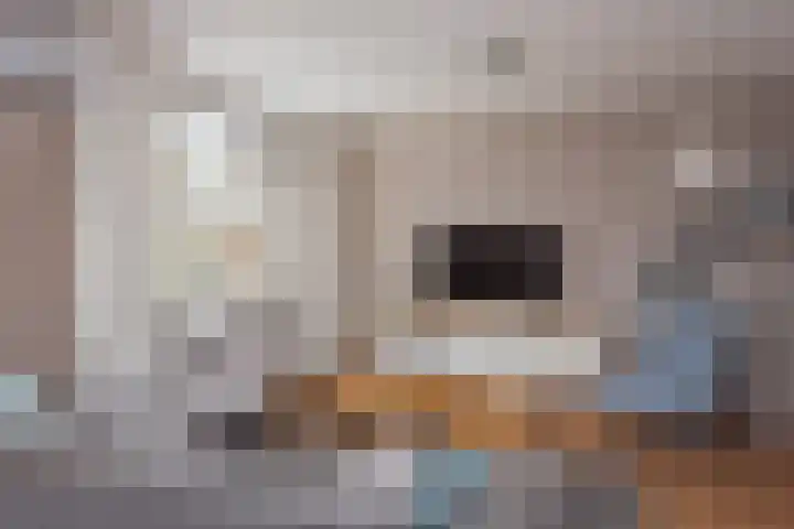 Vletstraat 110 Elburg thumbnail 11