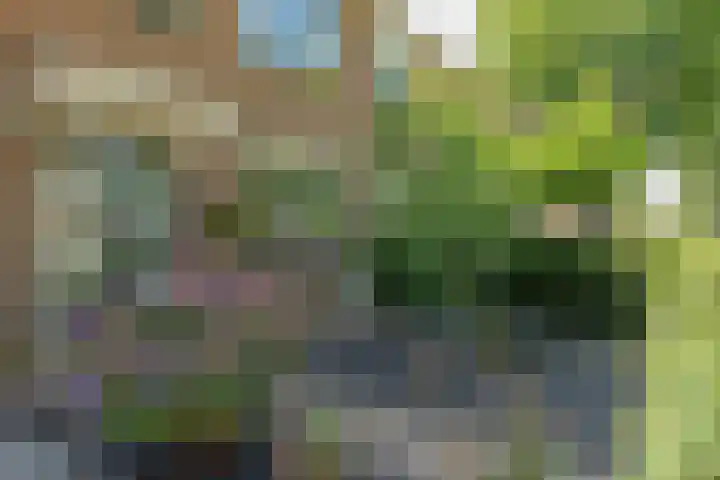 Vletstraat 110 Elburg thumbnail 6