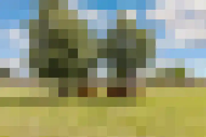 Vletstraat 124 Elburg thumbnail 64