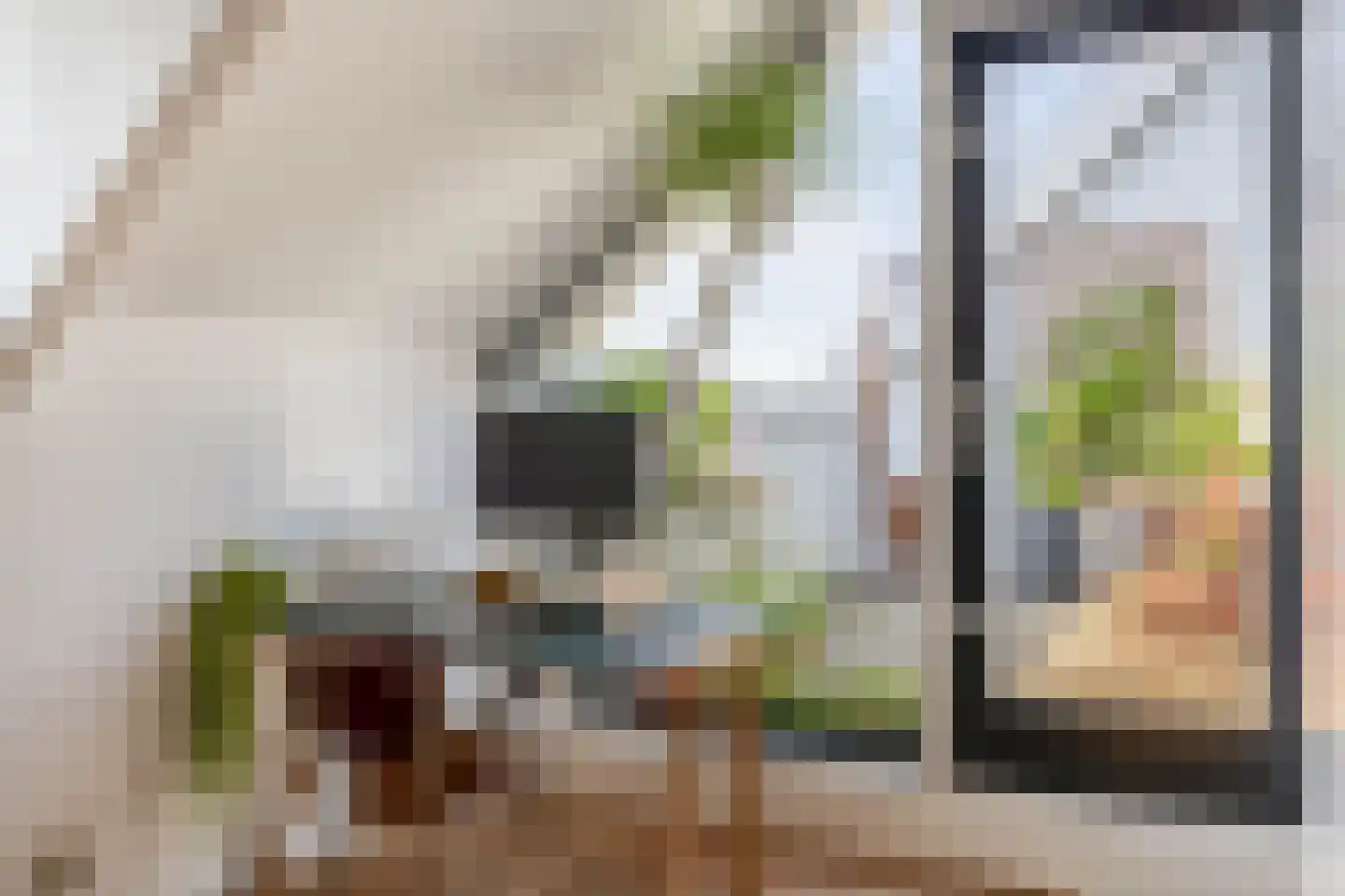 Vletstraat 23 Rotterdam thumbnail 4