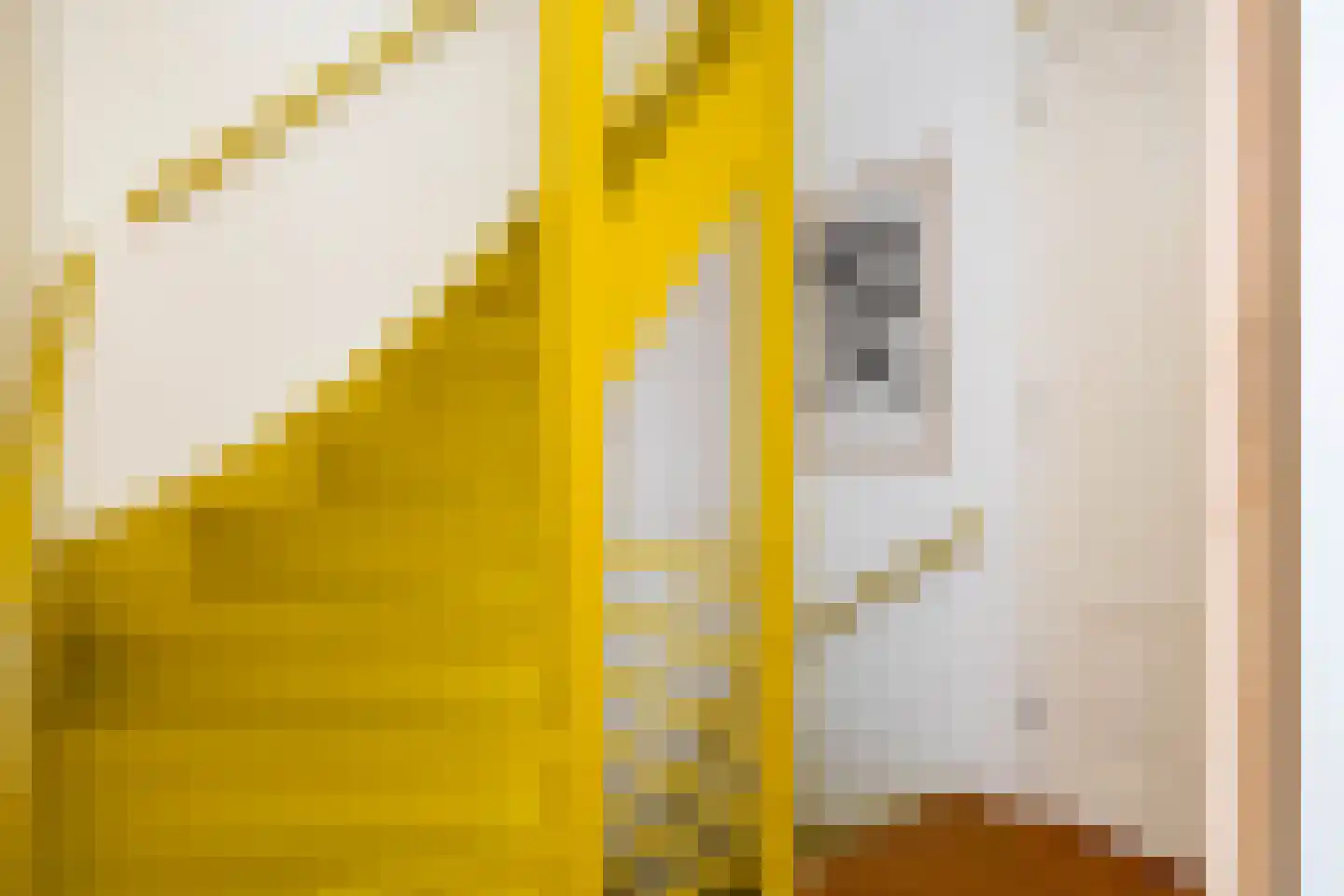 Vletstraat 23 Rotterdam thumbnail 9
