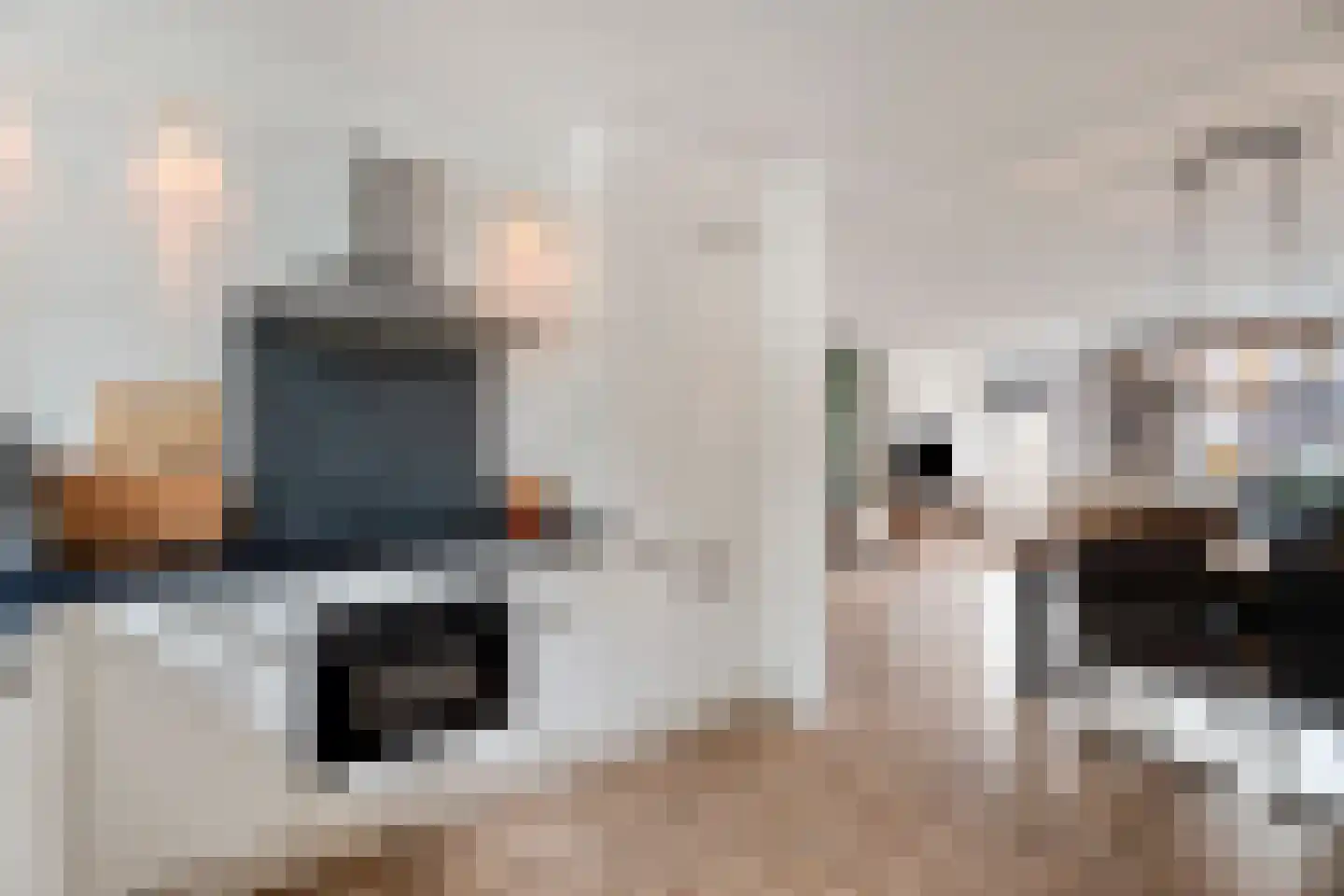 Vletstraat 26 Elburg thumbnail 24