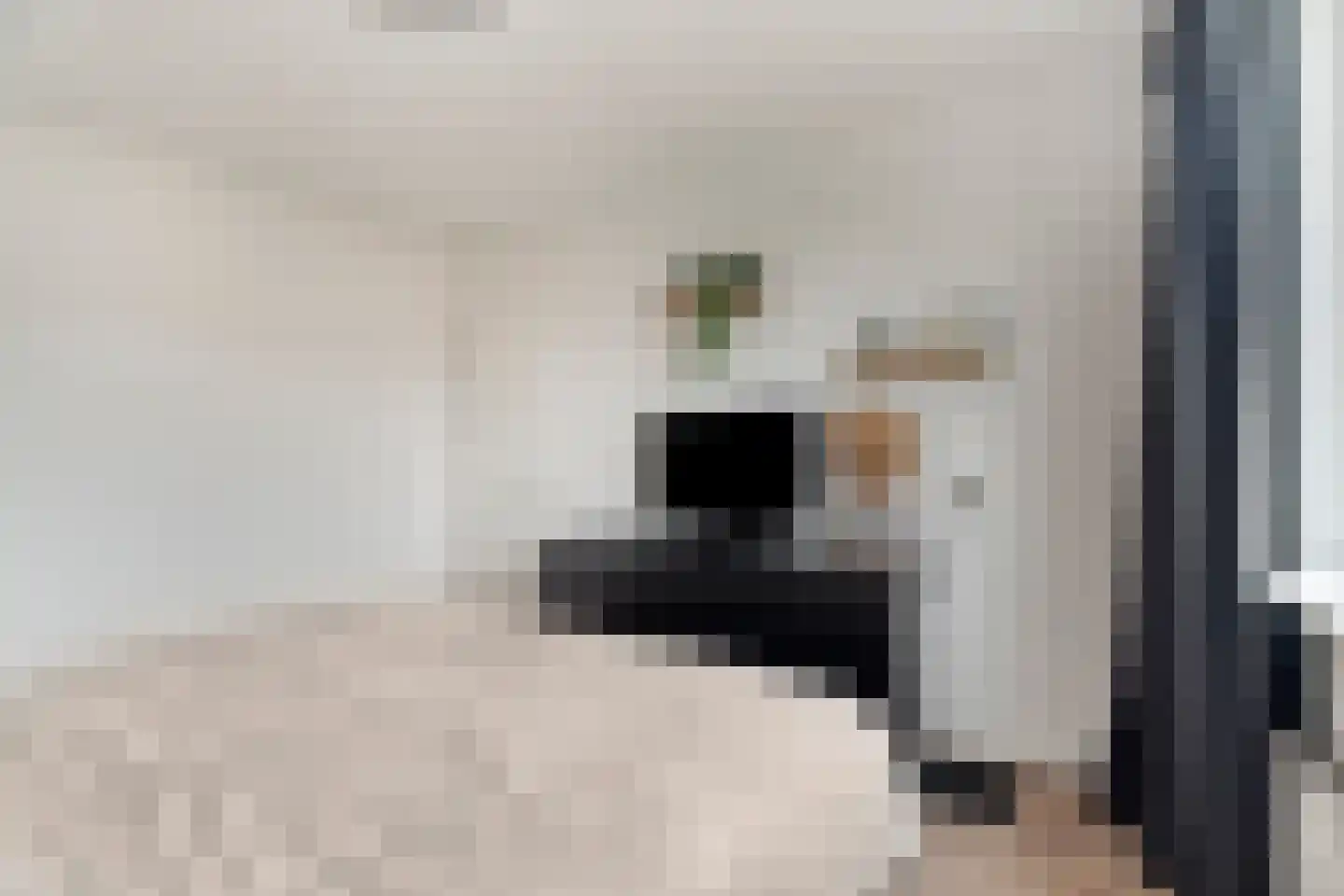 Vletstraat 26 Elburg thumbnail 27