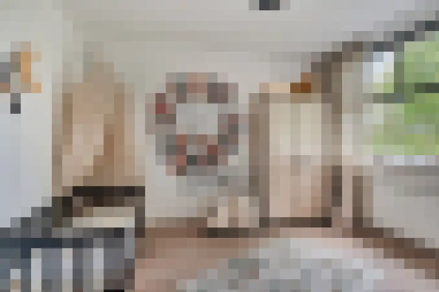 Vletstraat 26 Elburg thumbnail 28