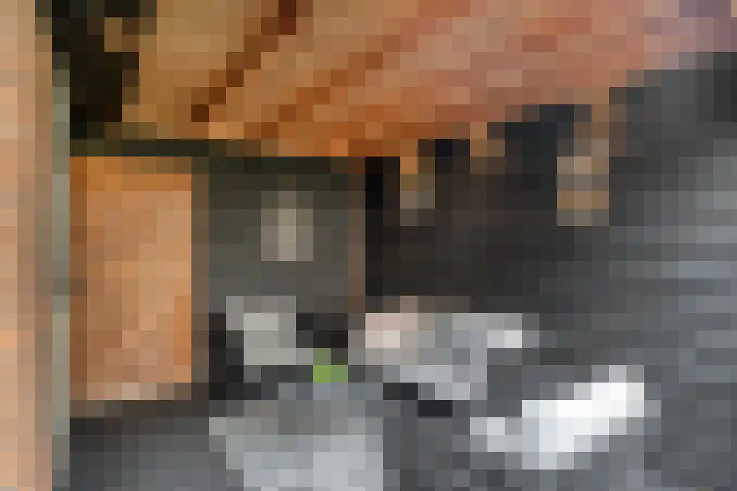 Vletstraat 26 Elburg thumbnail 40