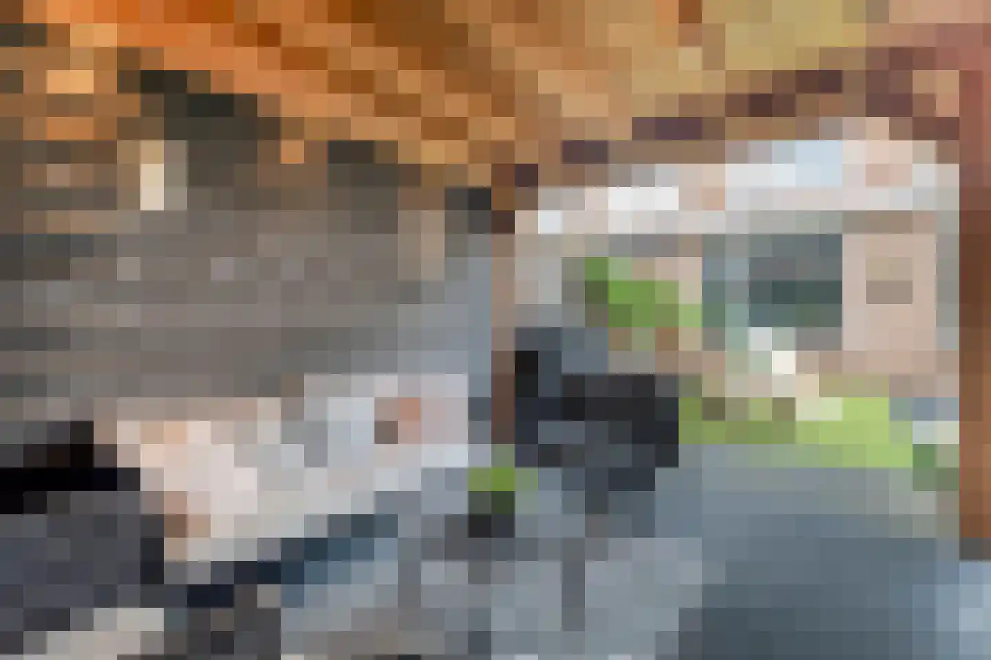 Vletstraat 26 Elburg thumbnail 41