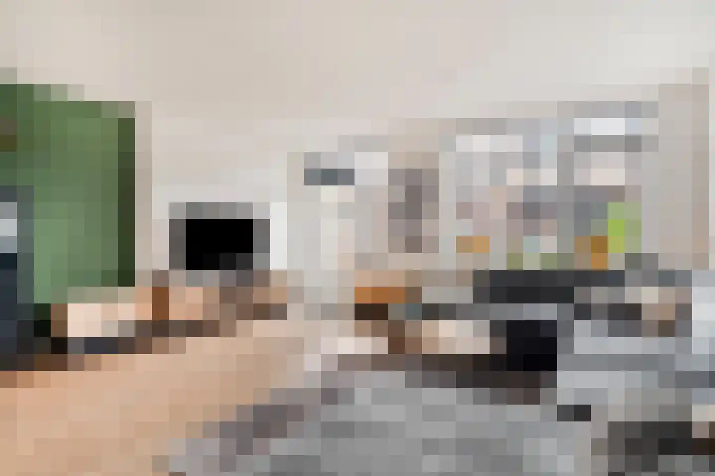 Vletstraat 26 Elburg thumbnail 5