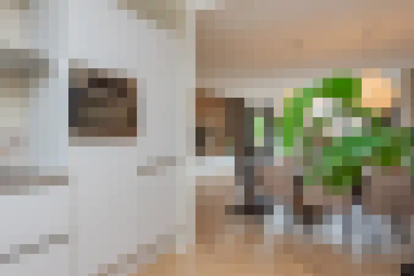 Vletstraat 34 Elburg thumbnail 23
