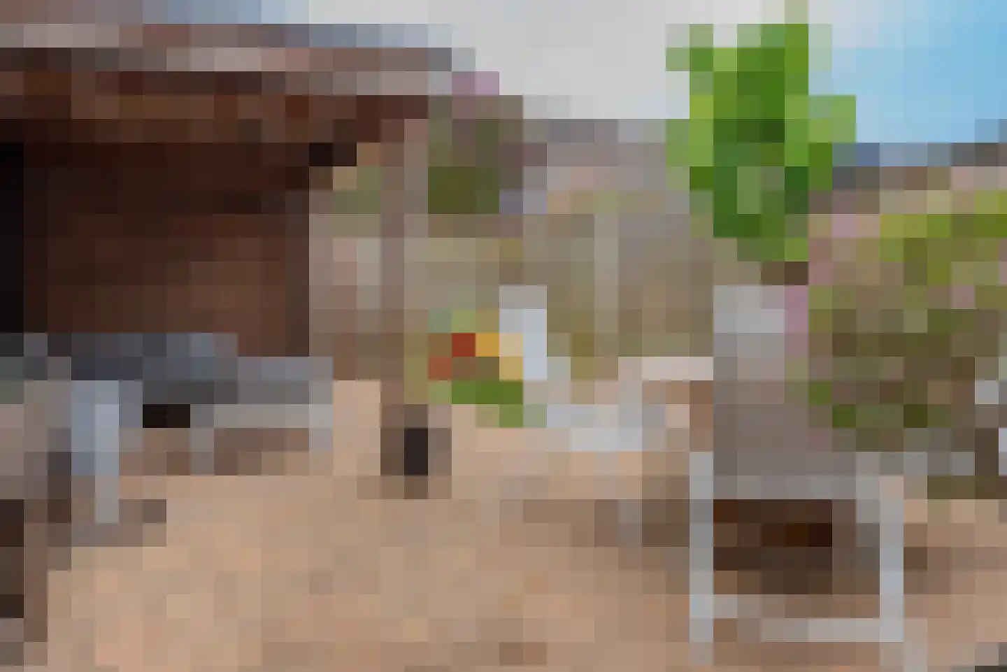 Vletstraat 34 Elburg thumbnail 51