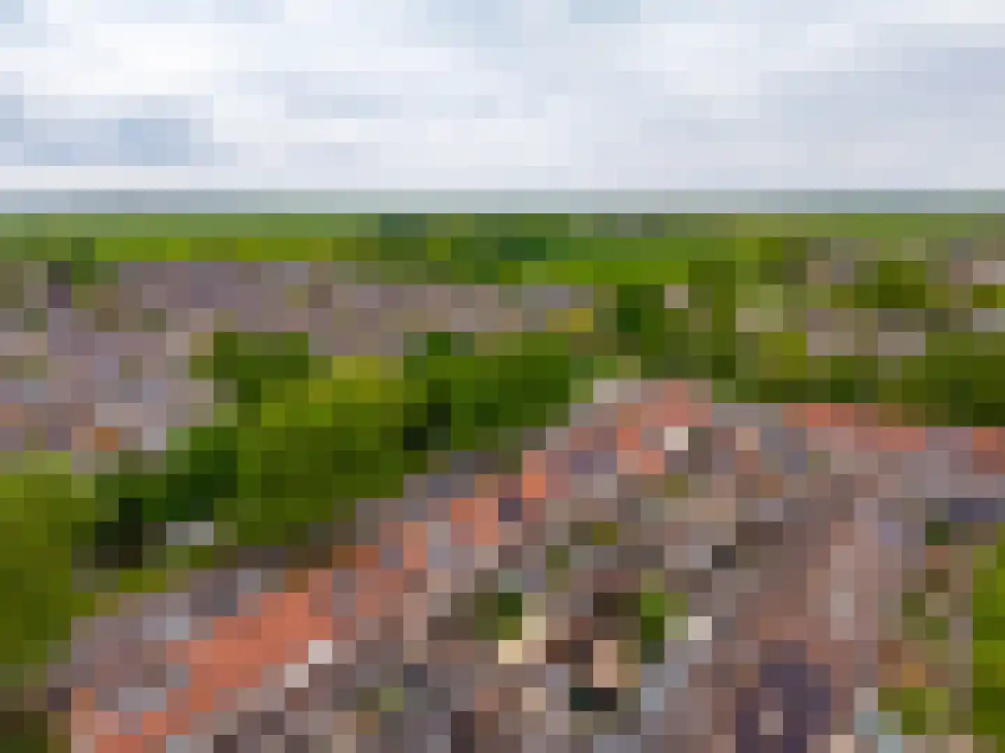 Vletstraat 34 Elburg thumbnail 57