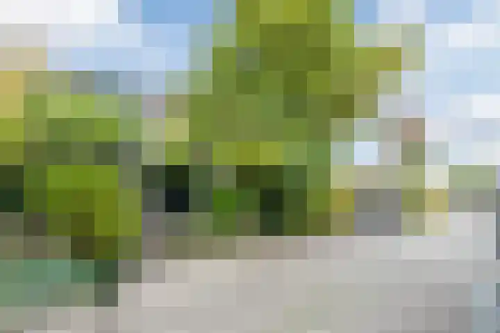 Vlettevaart 18 Tilburg thumbnail 37