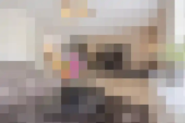 Vlettevaart 2 Steenbergen thumbnail 13