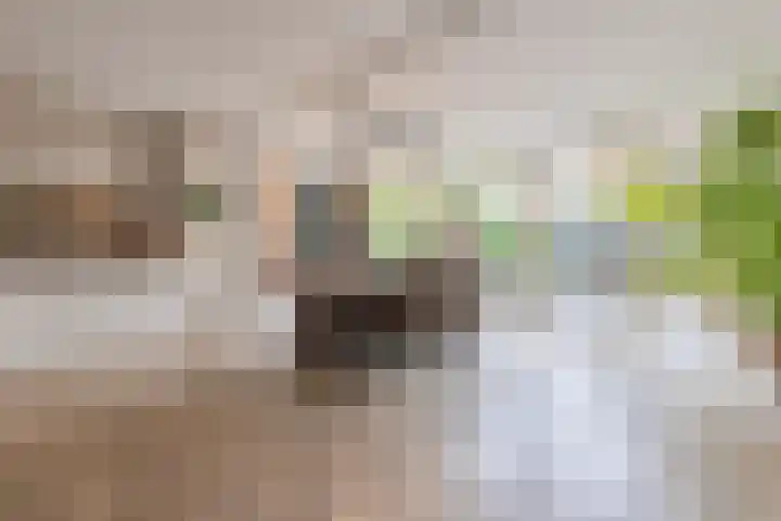 Vlettevaart 2 Steenbergen thumbnail 16